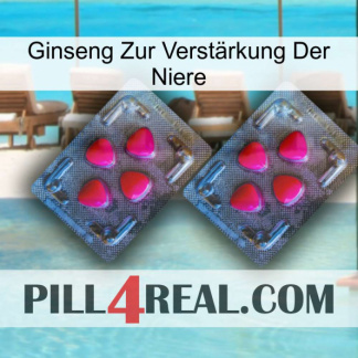 Ginseng Zur Verstärkung Der Niere 14